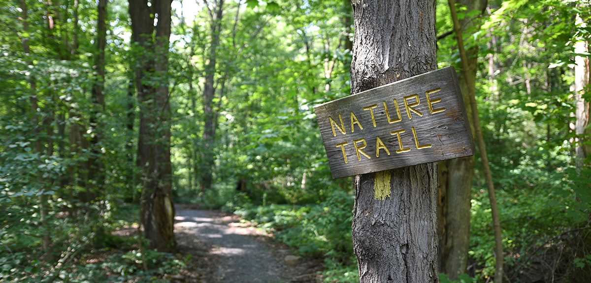 Highland Regional Park nature trails