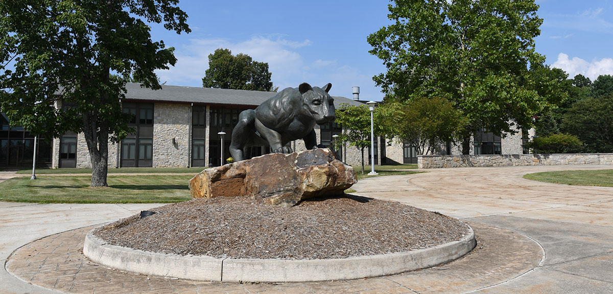 University of Pittsburgh - lion statue